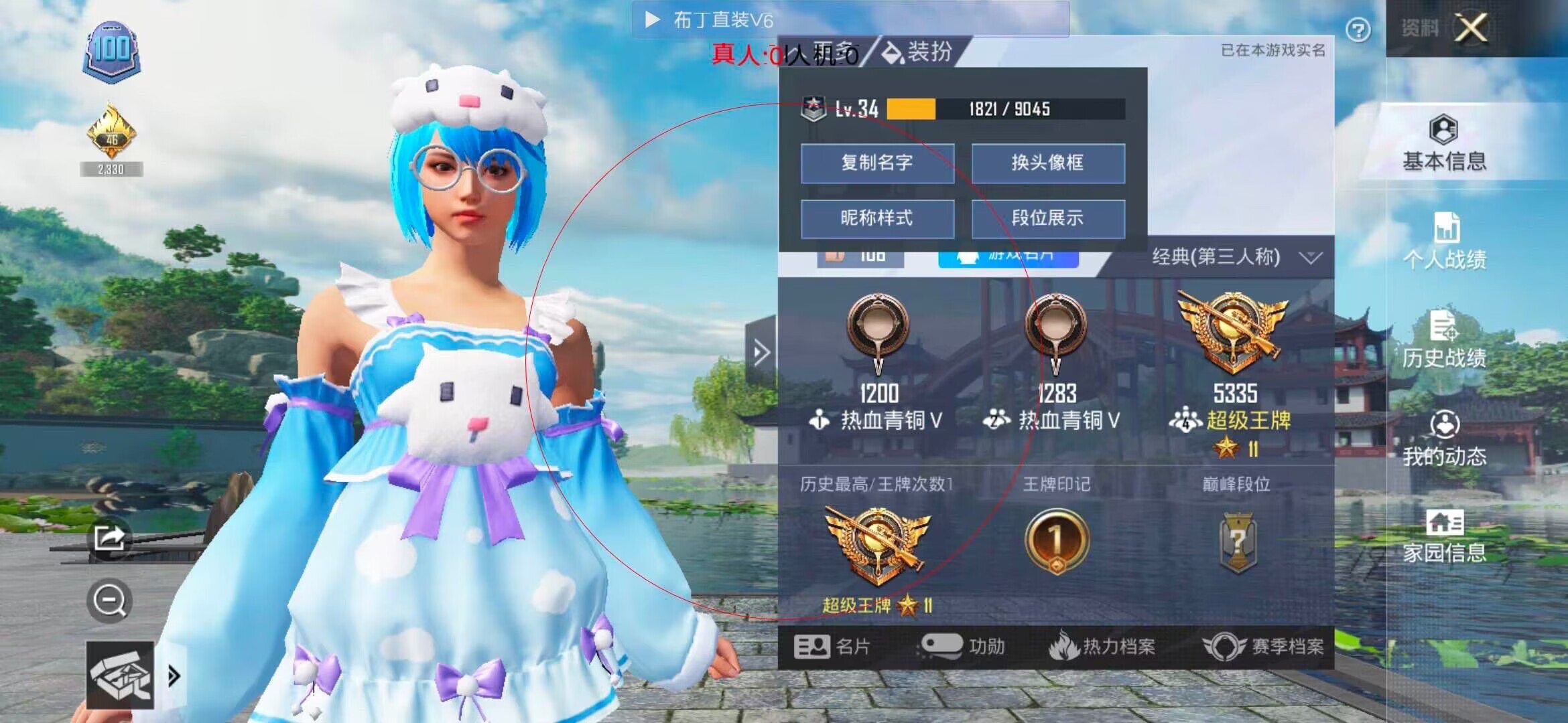 和平精英布丁直装辅助预览图 - 绘制骨骼射线